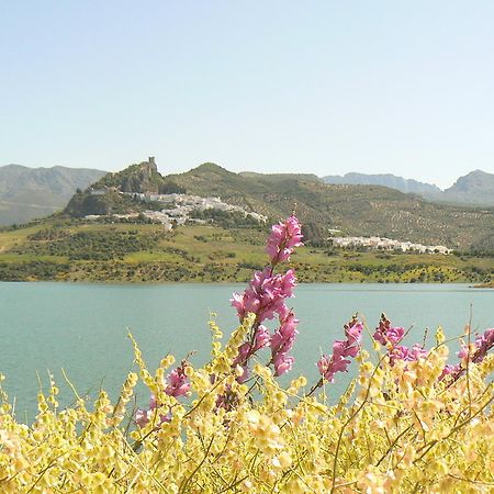 Casa Rural-Apartamento El Lebrillero サアラ・デ・ラ・シエラ エクステリア 写真
